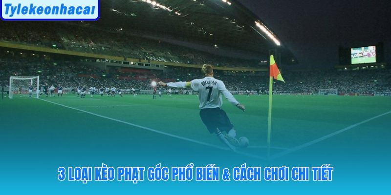 Ba thị trường kèo phạt góc với cơ chế và điều kiện thắng khác nhau