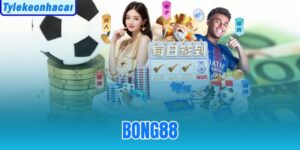 Bong88