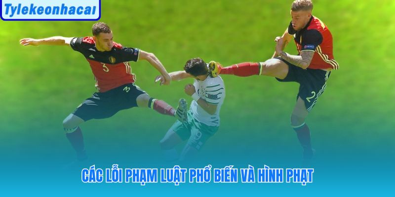 Lỗi phổ biến và cách xử lý theo chuẩn VFF
