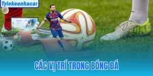 Các Vị Trí Trong Bóng Đá