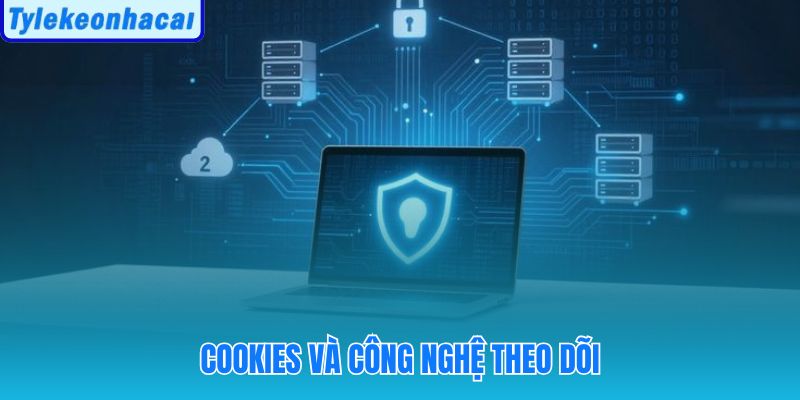 Cookies lưu tùy chọn xem kèo theo chính sách bảo mật minh bạch