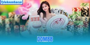 Dom88