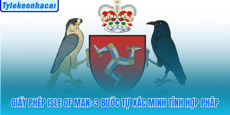 Quy trình đối chiếu mã giấy phép qua cơ sở dữ liệu chính thức