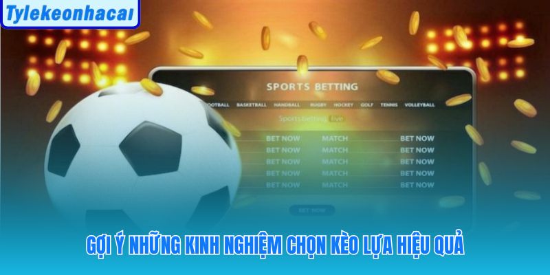 Dựa trên dữ liệu trận đấu và quản lý vốn chặt chẽ