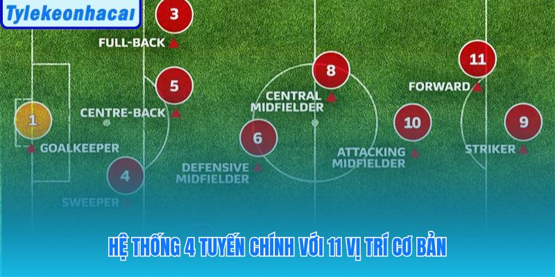 Các vị trí trong bóng đá phân chia theo 4 tuyến với nhiệm vụ riêng biệt