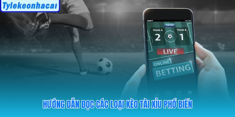 Giải mã mốc kèo thập phân và cách tính tiền