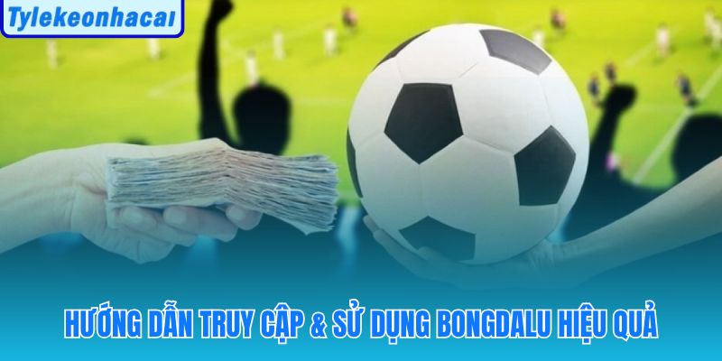 Năm bước từ kiểm tra domain đến ghi chú kịch bản lệnh rung