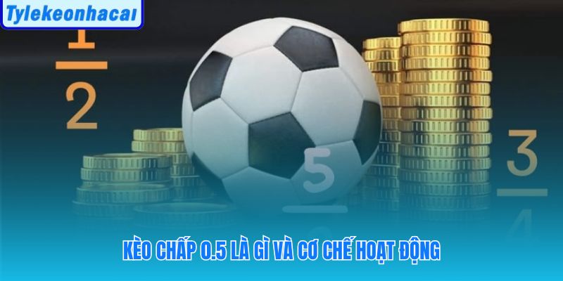 Mức chấp nửa trái tạo kết quả rõ ràng không hoàn tiền