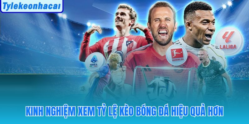 Phong độ, đội hình, sân nhà và dòng tiền thị trường