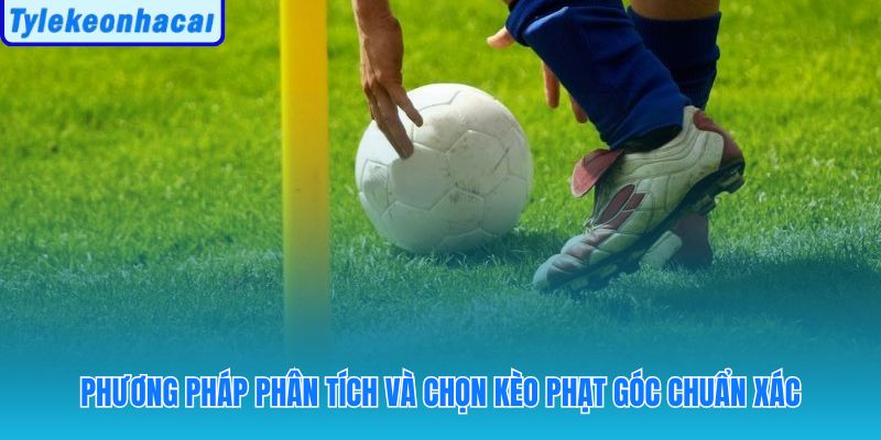 Dữ liệu cụ thể và bối cảnh chiến thuật quyết định lựa chọn kèo phạt góc