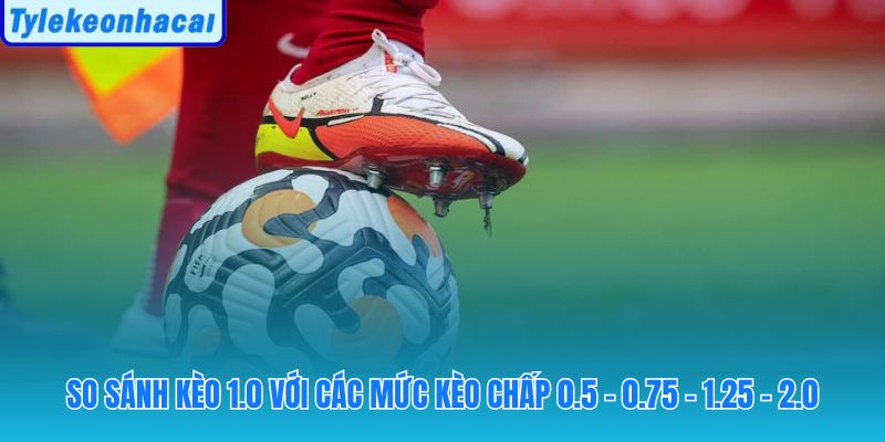 Điều kiện ăn và mức rủi ro khác biệt giữa các handicap