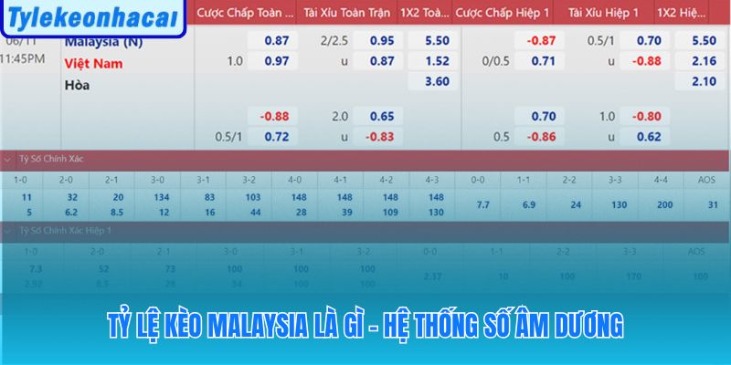 Hệ thống odds dùng dấu âm dương để phân biệt tiền cược và lợi nhuận