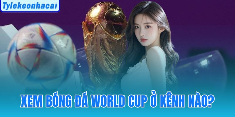 Xem Bóng Đá World Cup Ở Kênh Nào